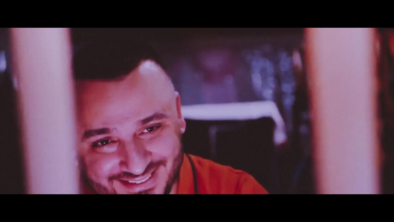 Liviu Guta - Tu voiai masini si vile