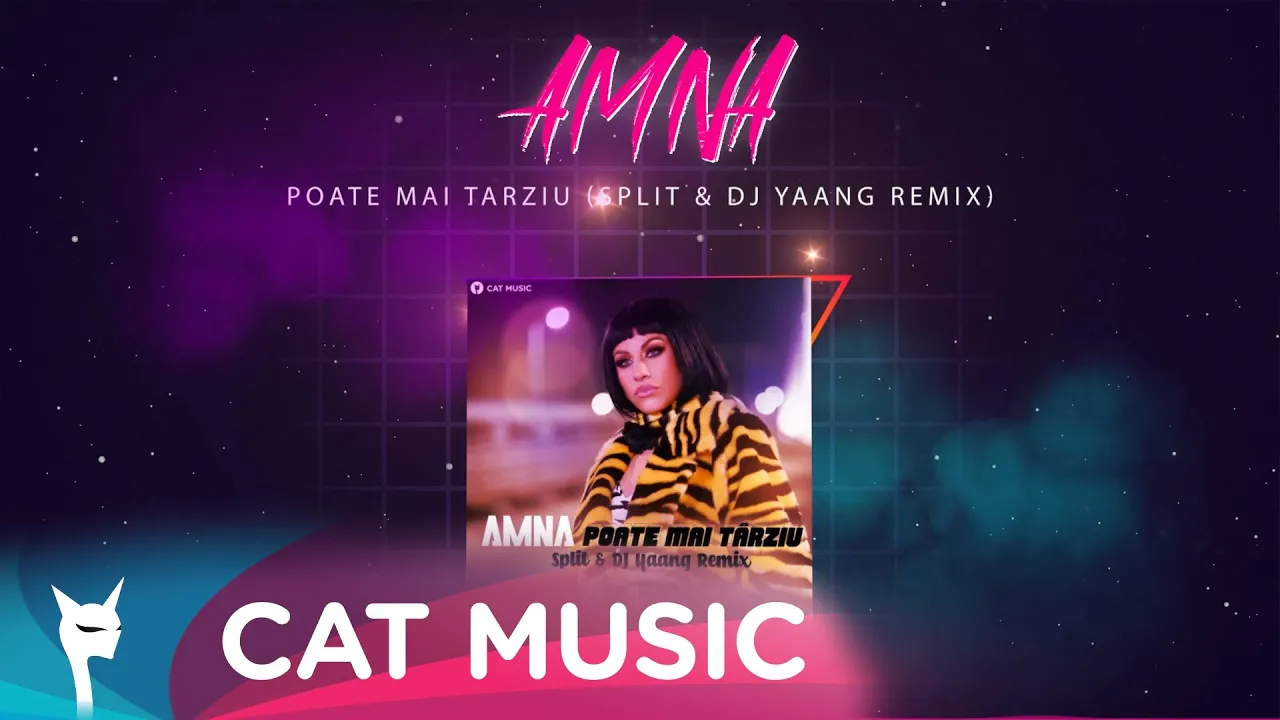 AMNA - Poate mai tarziu (SPLIT x Dj Yaang Remix)