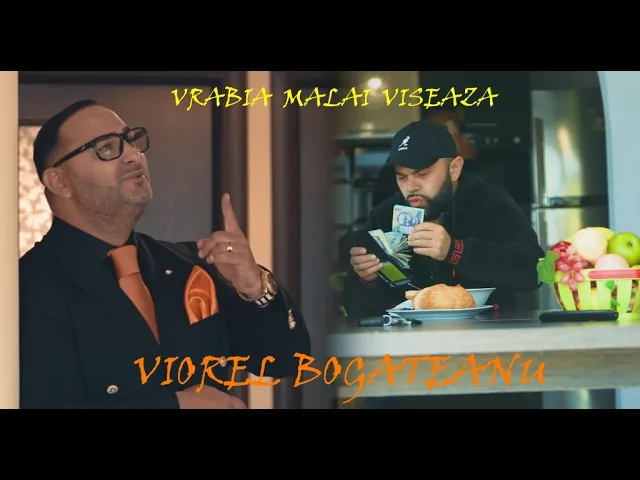 VIOREL BOGATEANU - VRABIA MALAI VISEAZA 2021