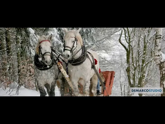 DEMARCO - Din an in an (COLINDE 2020)