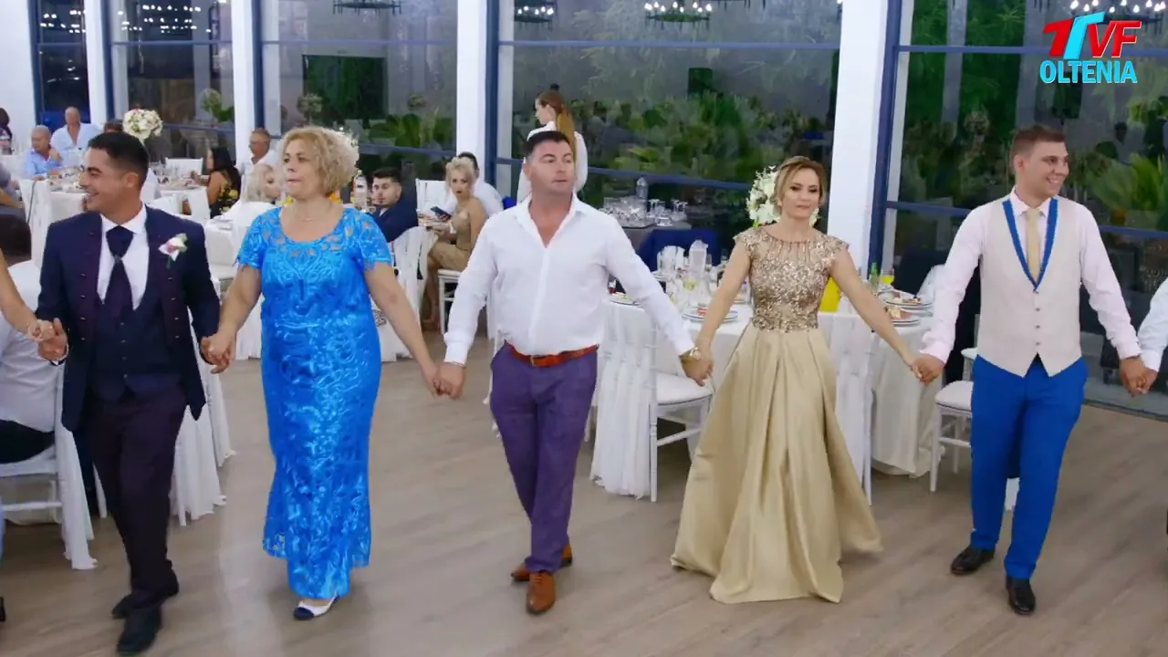 BELEA de SARBE 2022 - NELU SBARCEA