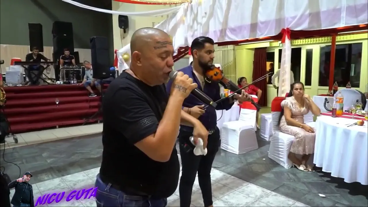 Nicolae Guta - Colaj Manele Noi si Vechi