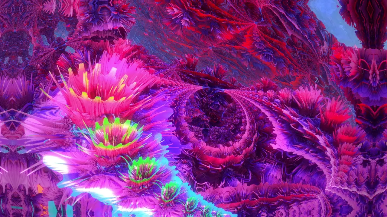 INZO - Spectrum 2019