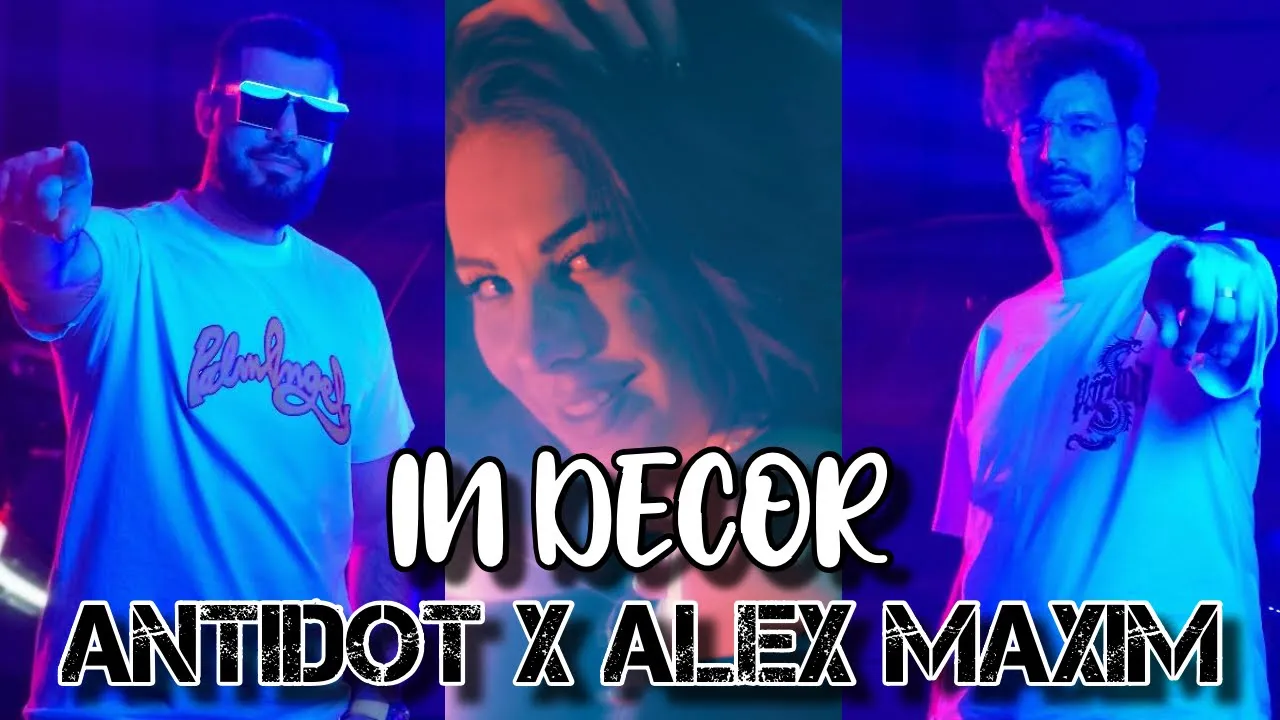 Antidot x Alex Maxim - In Decor