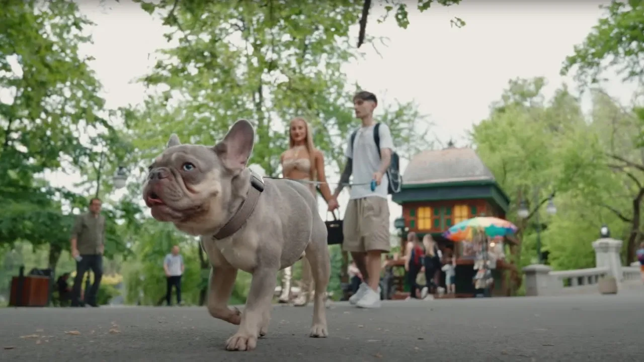 Berechet - AM O GAGICA