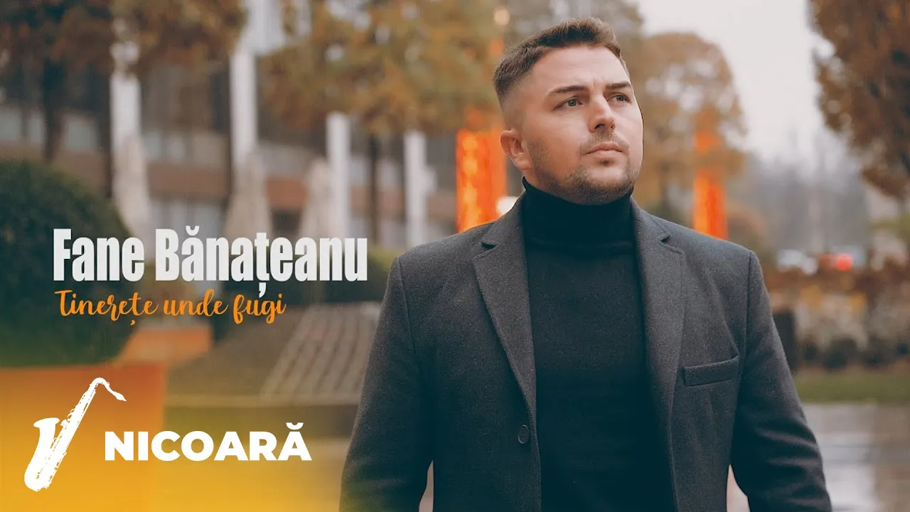 Fane Banateanu - Tinerete unde fugi