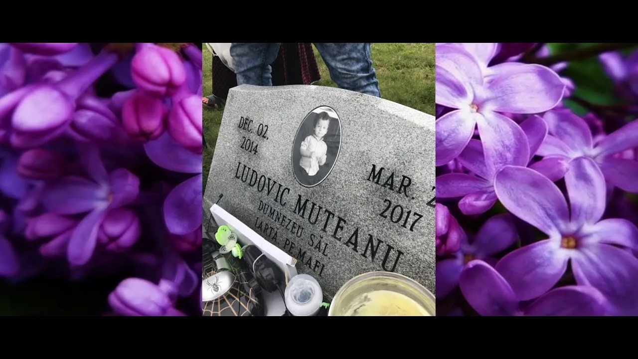 Desanto - Viata Grea Scurta Si Cruda (Originala)