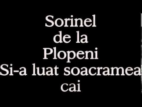 SORINEL DE LA PLOPENI - SI A LUAT SOACRAMEA 