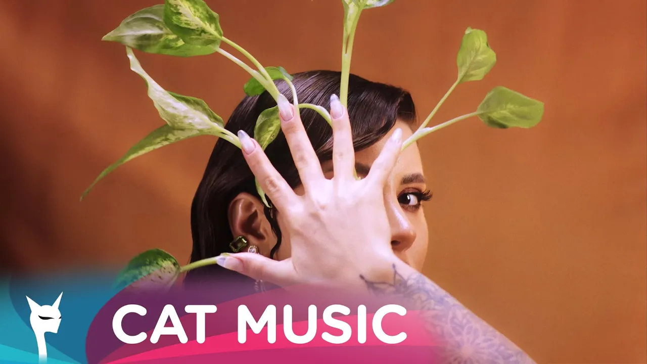 Nicoleta Nuca - Nimeni nu-i perfect (Original Radio Edit)