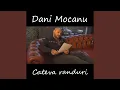 Dani Mocanu - Cateva Randuri (Originala 2019)