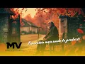 Manelele Viitorului - Tineretea mea unde te grabesti