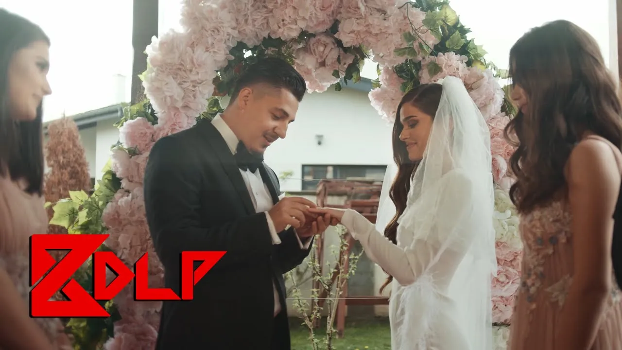 Bogdan DLP x Theo Rose - Vina Mea (Originala 2021)