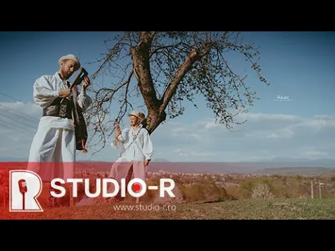 Gavrila feat Alex Martari - Mai pretine