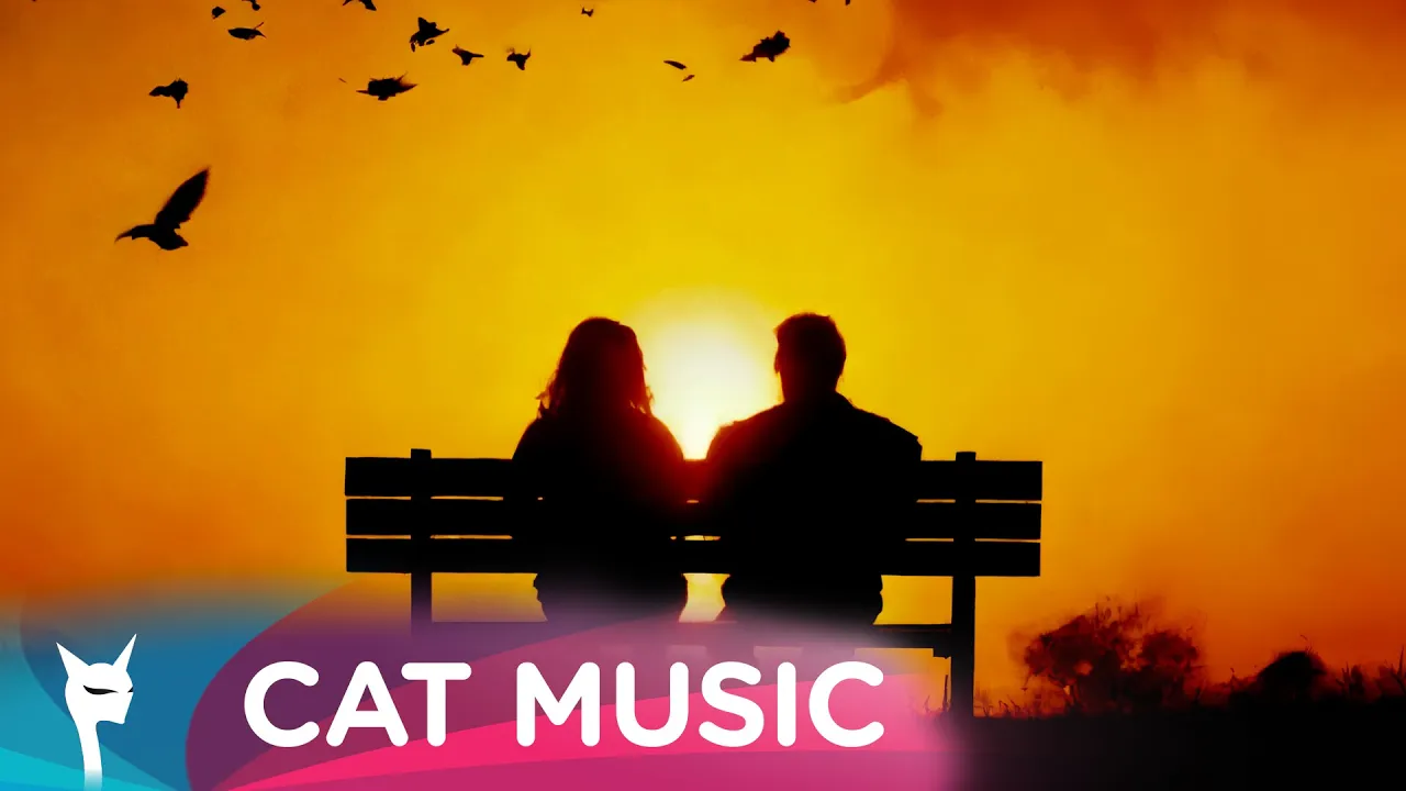 Taxi - Prea putin, prea tarziu