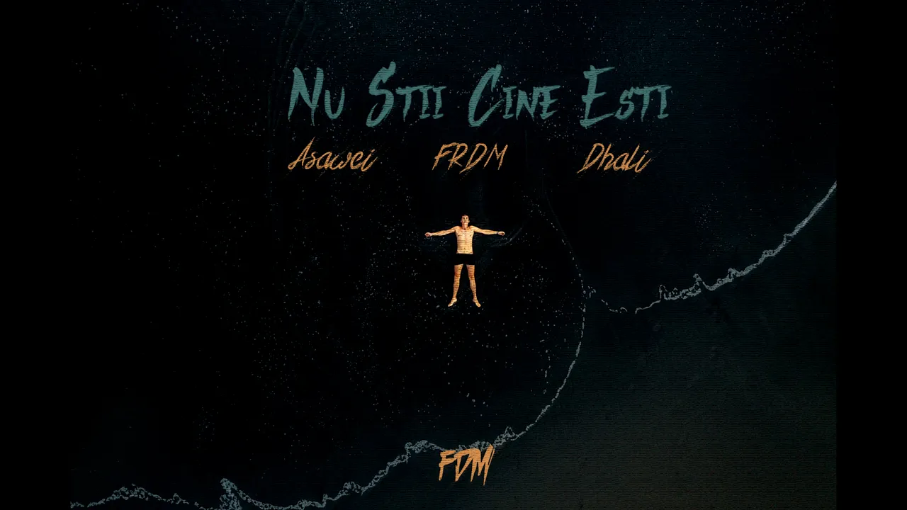 Asawei FRDM Dhali - Nu stii cine esti (Original Radio Edit)