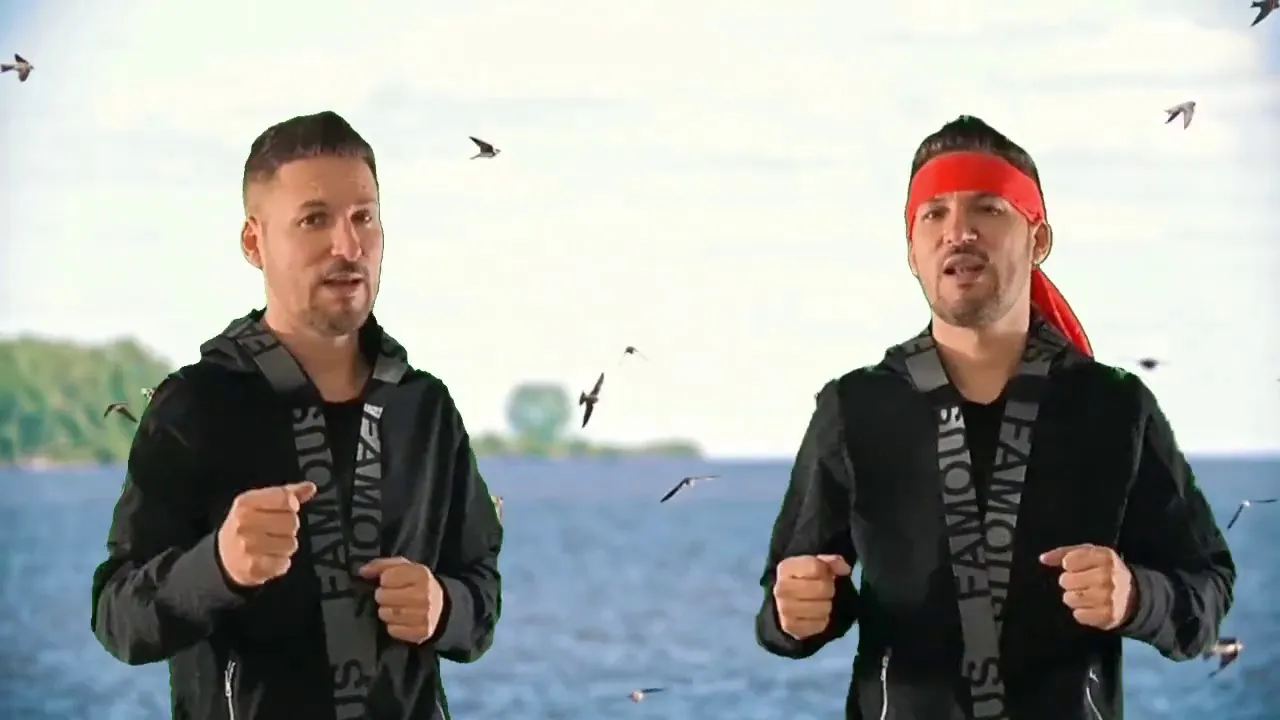 FLORIN PURICE - Im a SURVIVOR (Originala 2021)