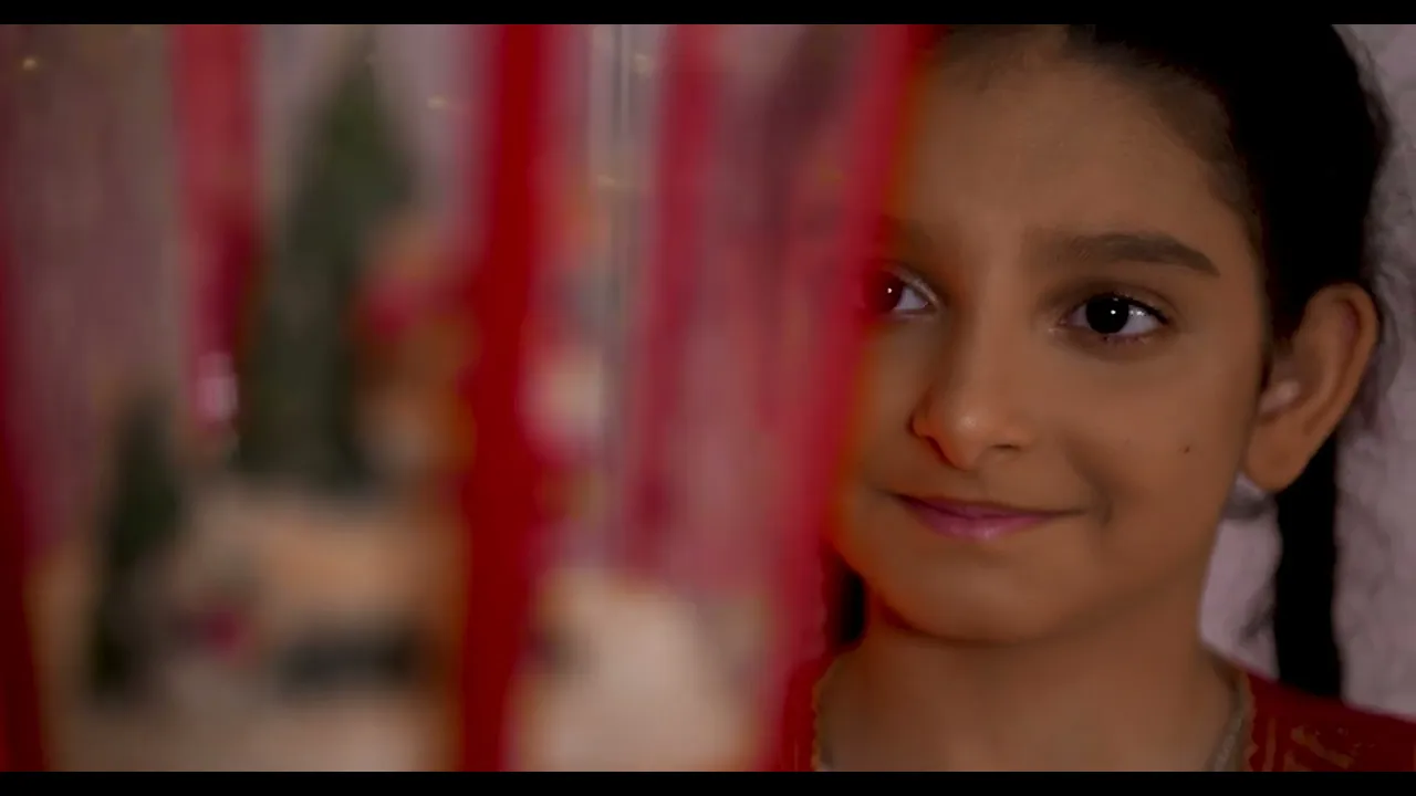 NICOLA SELINA - DE SARBATORI ACASA