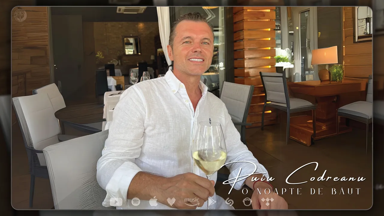 Puiu Codreanu - O noapte de baut