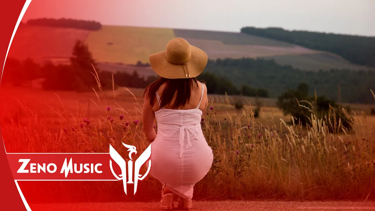 Zeno Music - Teri Meri (Remix)