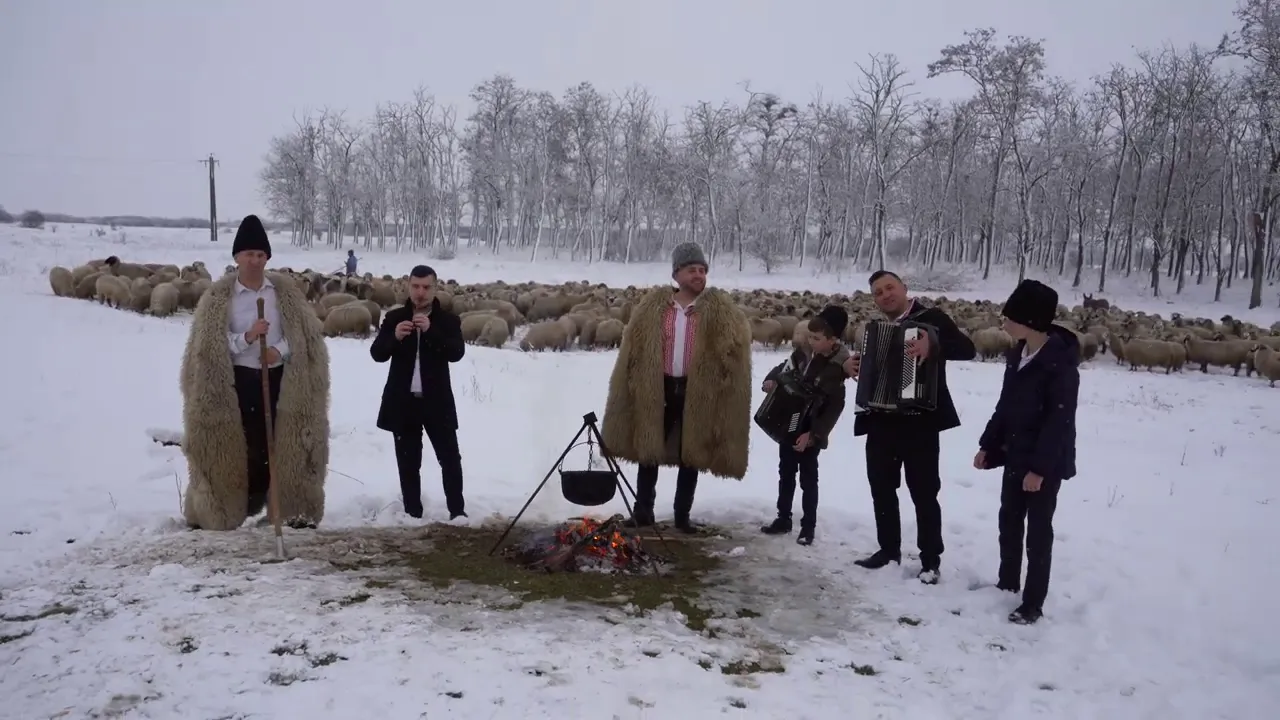 Tavi de la Oradea - Ei hai ciobanie