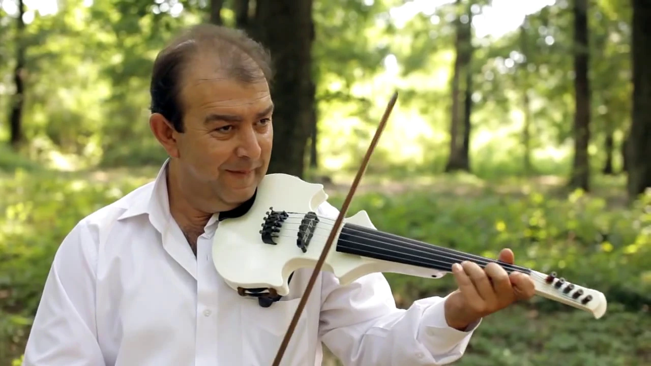 Nicu Paleru - Tuica face pe desteapta