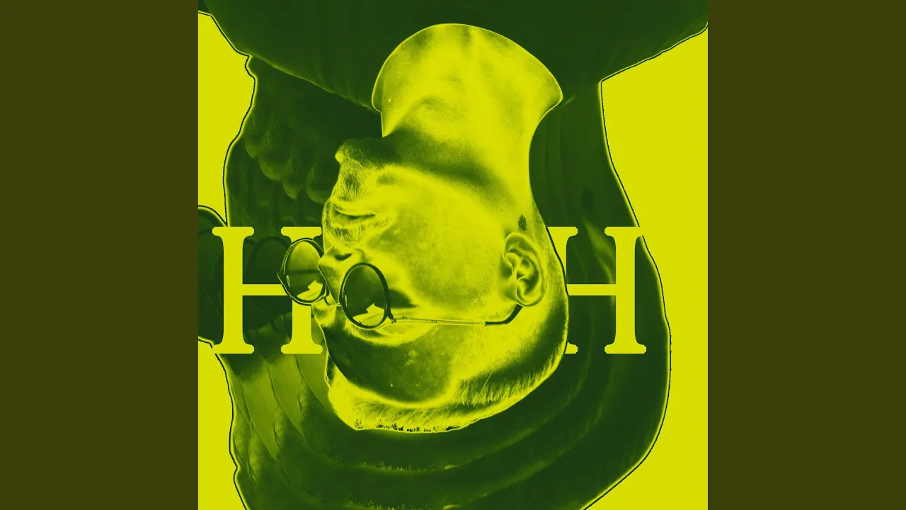 nomoredally - HIGH (Original Radio Edit)