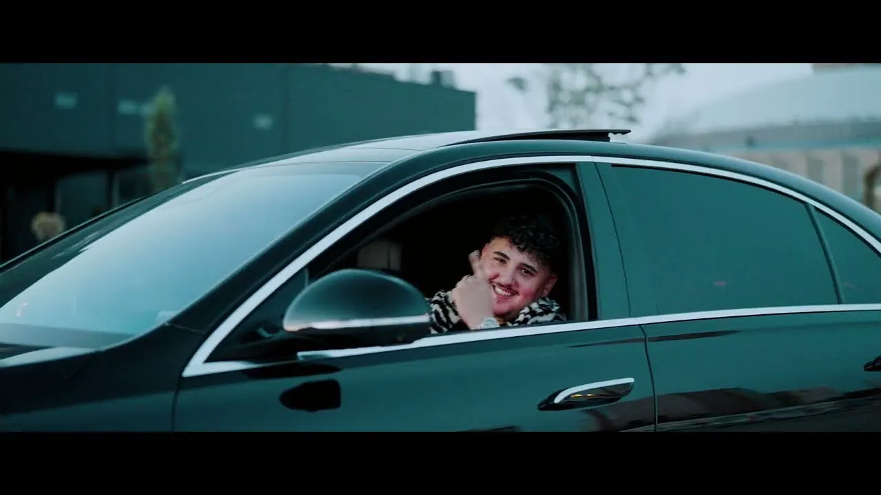 Stefan Liche - Te pup din mers