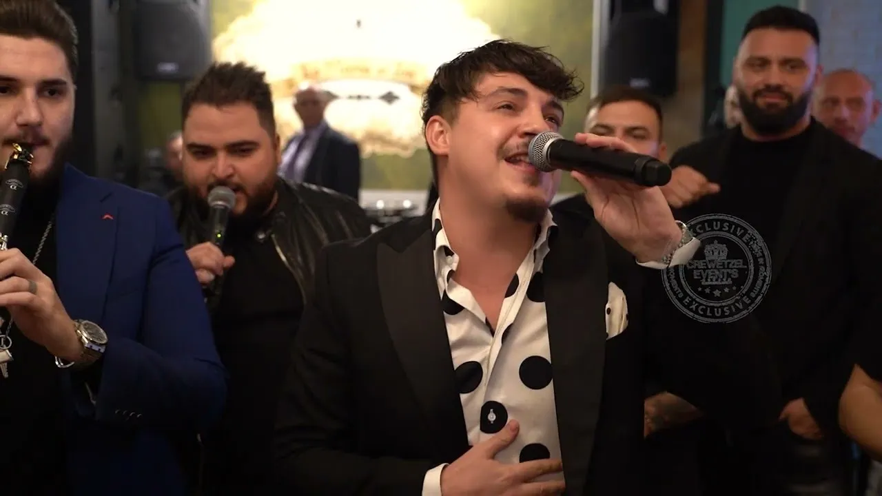 BOGDAN DE LA PLOIESTI - LA NEVEDERE 2022 (COVER Andia)