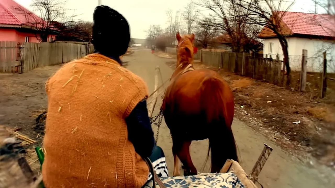 DANI PRINTUL BANATULUI - NU MAI BEAU