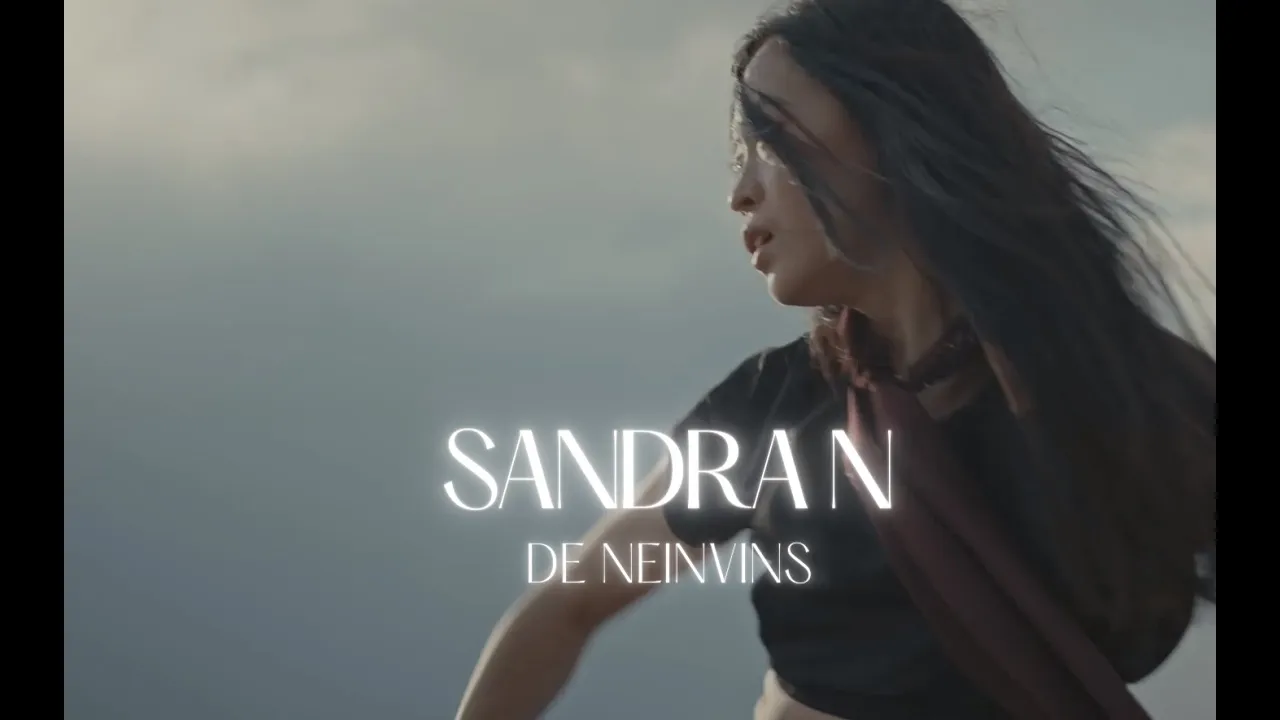 Sandra N - De Neinvins (Original Radio Edit)
