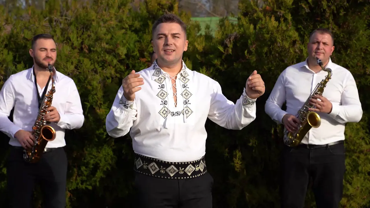 Fane Banateanu - Iara beau in asta seara - Colaj muzica de petrecere