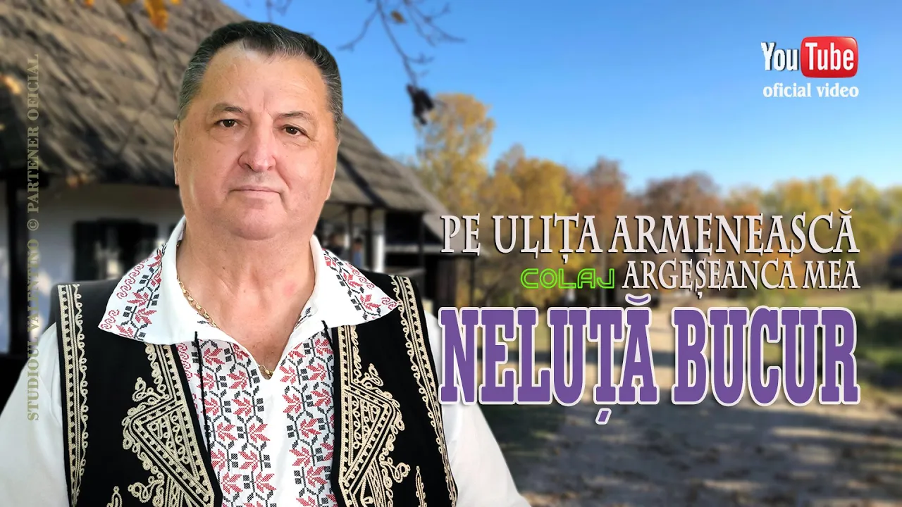 NELUTA BUCUR - Pe ulita armeneasca - Argeseanca mea