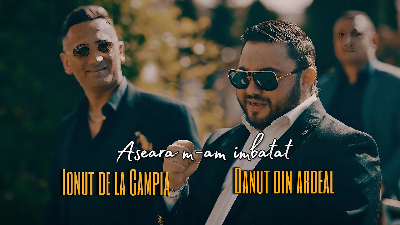 Ionut de la Campia Turzii si Danut din Ardeal (Danut Ardeleanu) - Aseara m am imbatat