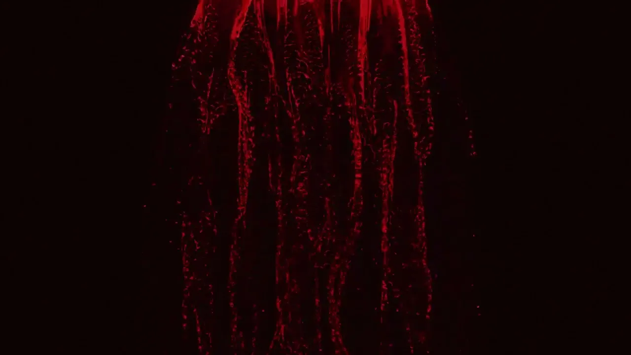 BRUJA - NIAGARA feat. Lu-K Beats & Super ED