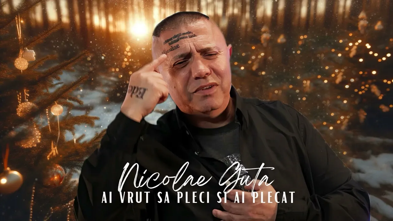Nicolae Guta - De ce ai venit,de ce ai plecat (Originala 2018)